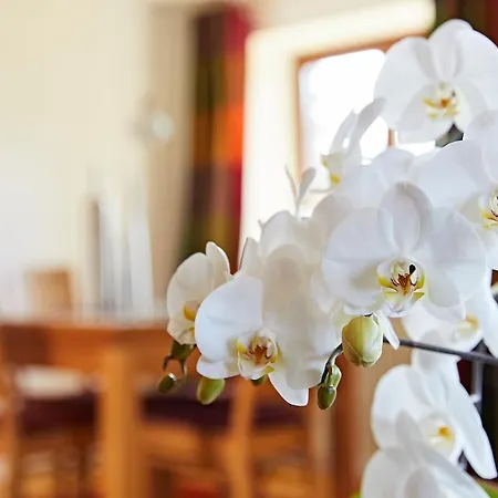 Schwendinger Apartment Oberstdorf